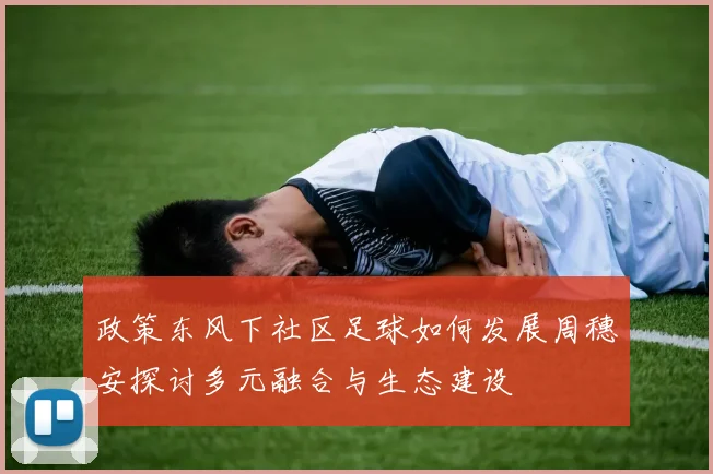 政策东风下社区足球如何发展周穗安探讨多元融合与生态建设