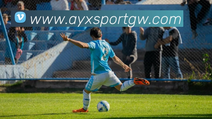 爱游戏体育平台生态图