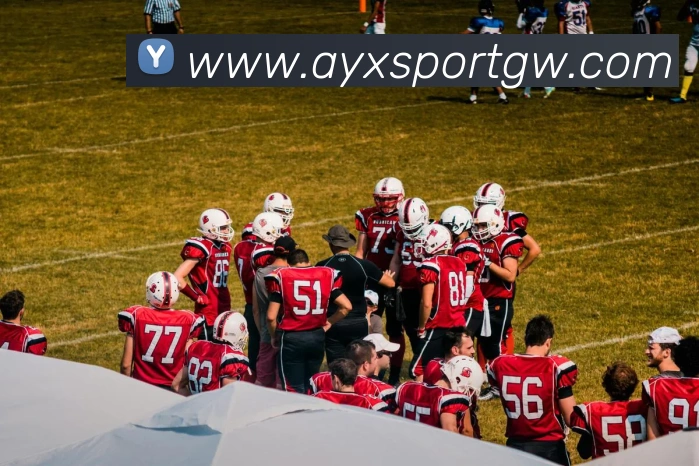 爱游戏体育品牌故事