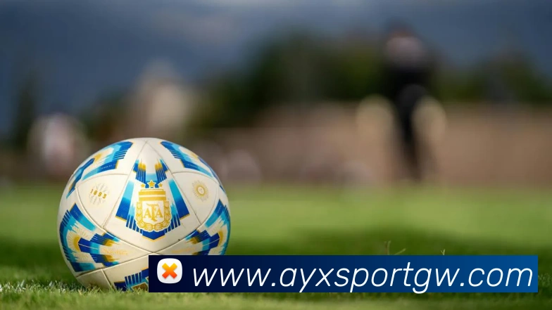 爱游戏体育服务体系